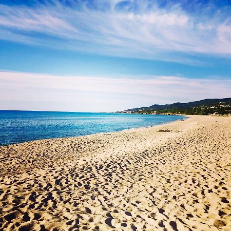 Palauma Plage 사리 솔렌자라 외부 사진